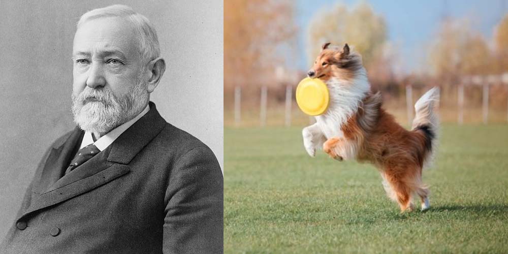 Benjamin Harrison and a Collie with a Frisbee