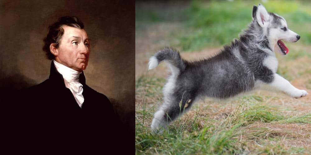 President James Monroe had a Siberian Husky