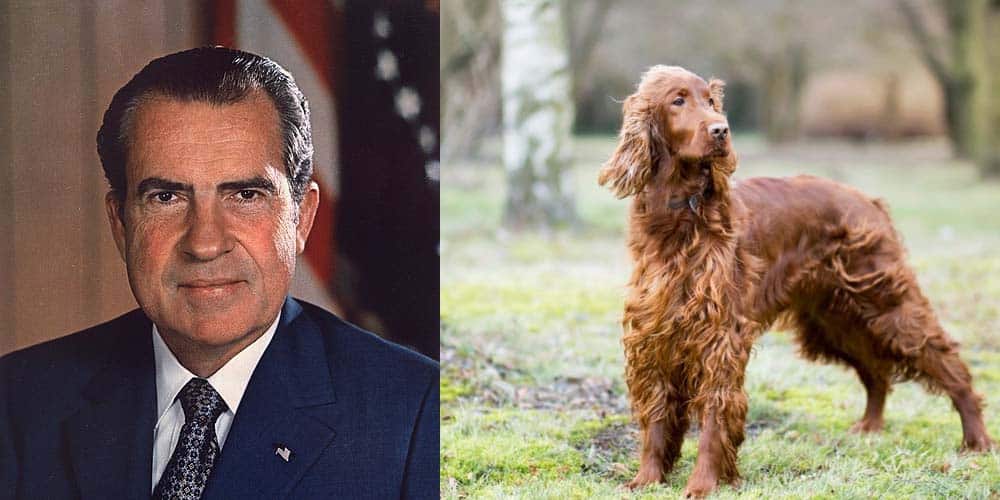 President Richard Nixon Portrait next to picture of an Irish Setter Dog