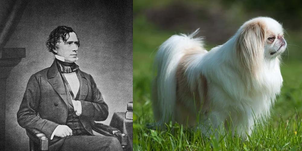 President Franklin Pierce's First Dog was a Japanese Chin