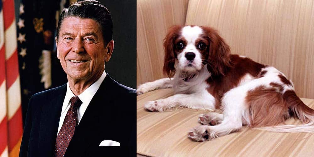 Ronald Regan next to his dog Rex