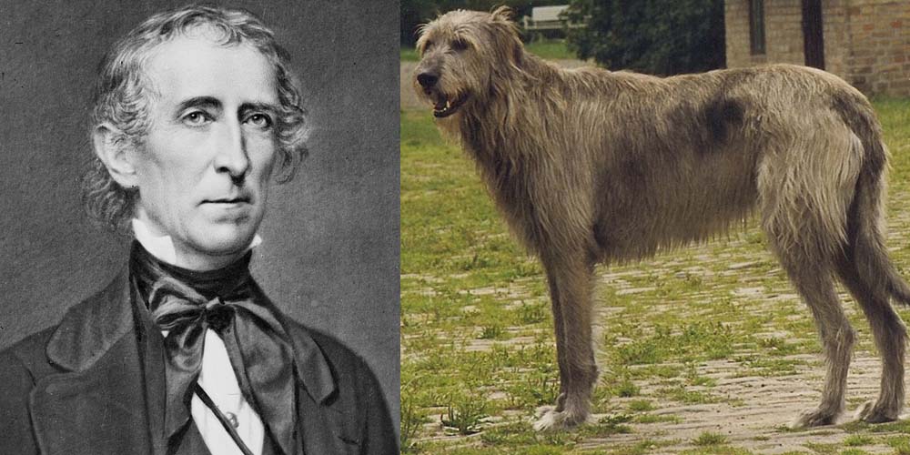 President John Tyler had a Wolfhound dog