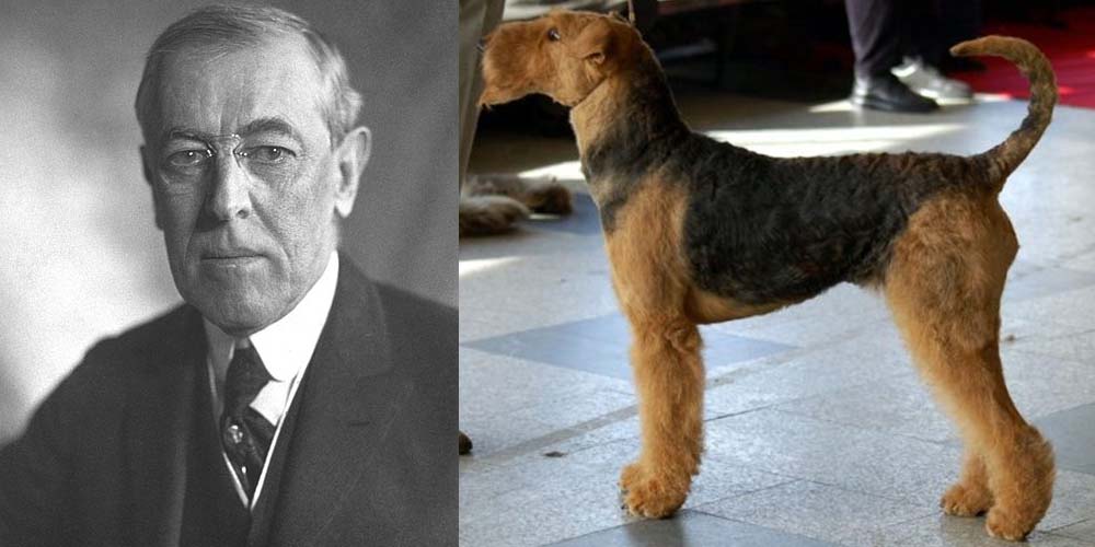 An Airedale Terrier was First Dog under Woodrow Wilson