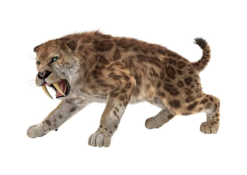 Eight Menacing Saber-Toothed Creatures That Stalked the Earth Long